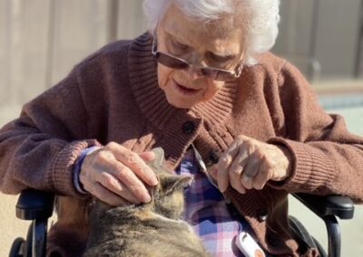 An elderly woman in a wheelchair pets a cat sitting on her lap outdoors, wearing sunglasses and a brown cardigan.
