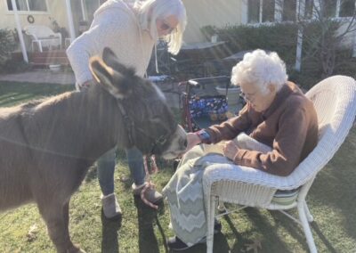 An elderly woman sitting in a wicker chair pets a donkey while another woman stands nearby holding the donkey's leash in a sunny backyard.