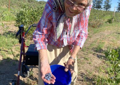 An elderly woman with a scarf and plaid shirt holds freshly picked blueberries in one hand and a blue bucket in the other, standing in a sunny field with a walker nearby.
